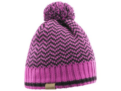 Čepice SALOMON Back Country