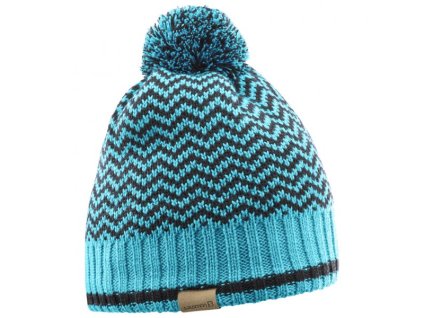 Čepice SALOMON Back Country