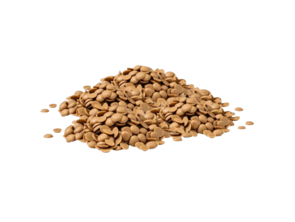 Karamel čoko