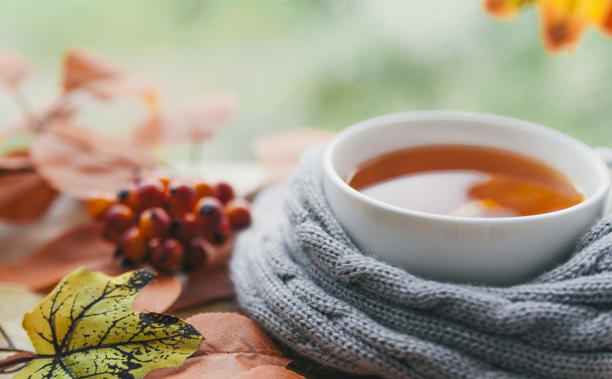 Podpora imunity na podzim