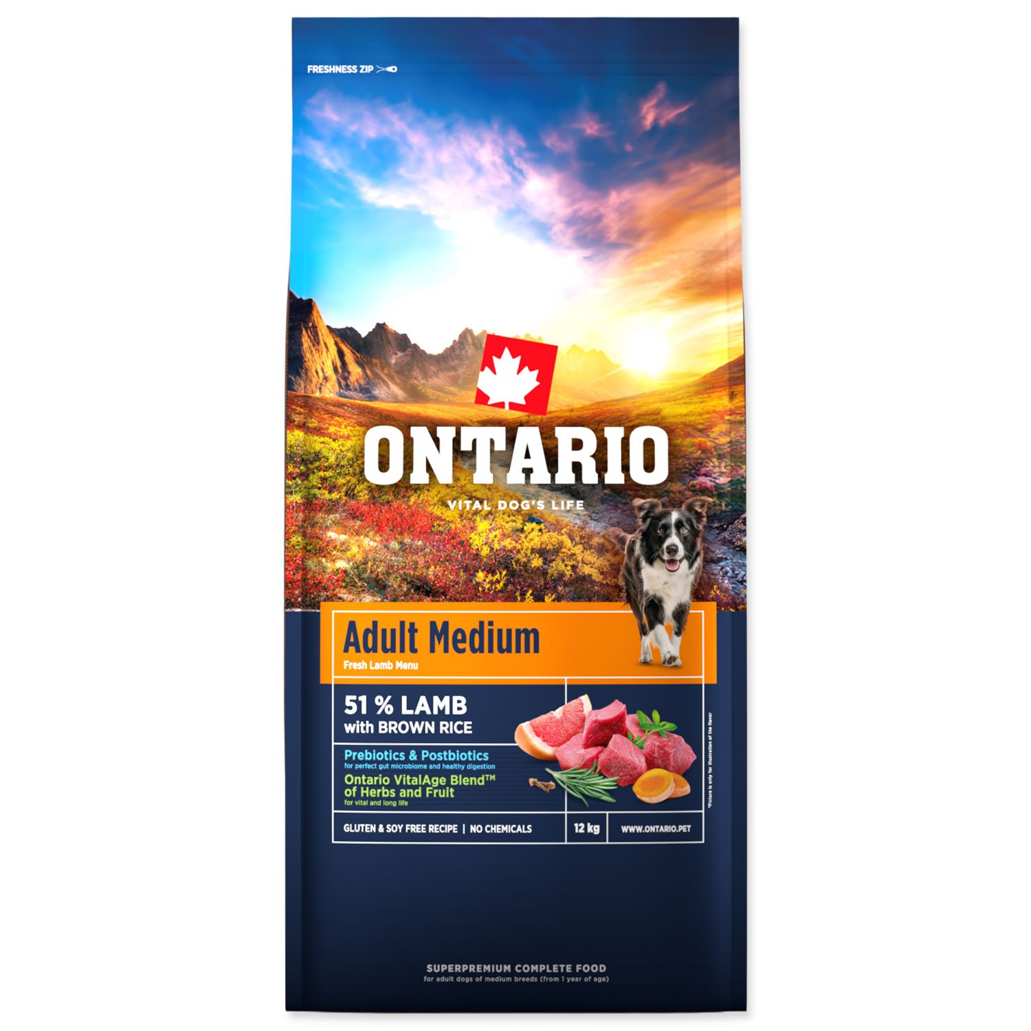 Krmivo Ontario Adult Medium Lamb & Brown Rice 12kg