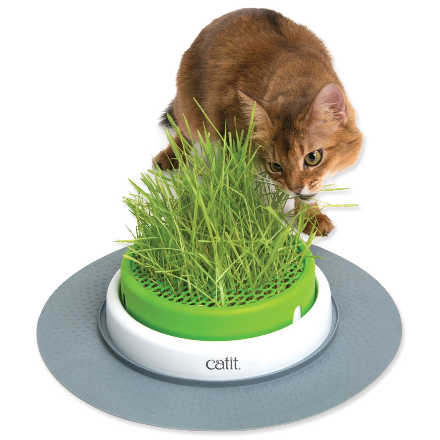 CAT IT Trávník Catit 2.0