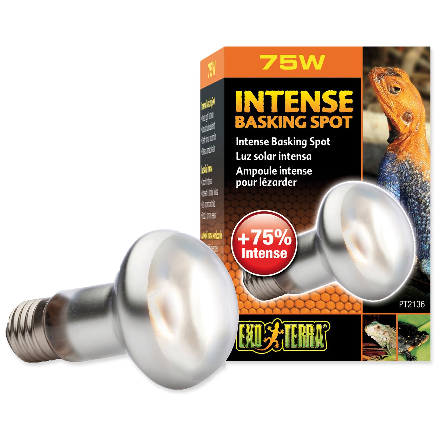EXOTERRA Žárovka Exo Terra Intense Basking Spot 75W