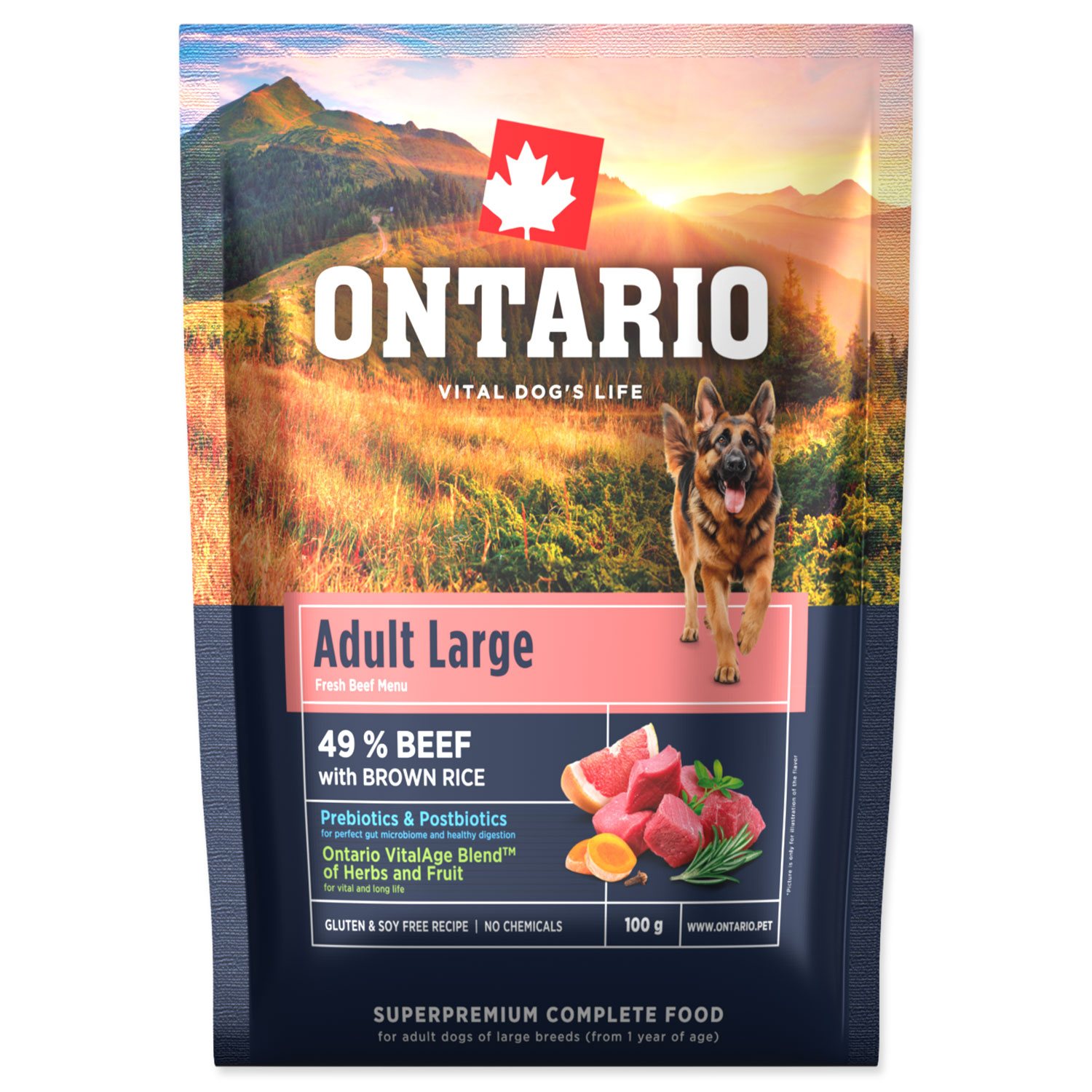 Vzorek Ontario Adult Large Beef & Brown Rice 0,1kg