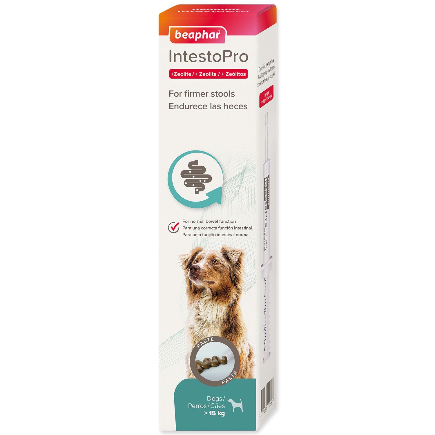 Pasta Beaphar IntestoPro L pro velké psy 2x 20ml