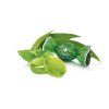 roshen mentolove a eukalyptove bonbony 200 g