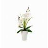 Orchidej v bílém květináči Blanco 37 cm