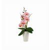 Orchidej v bílém květináči Rosa 37 cm