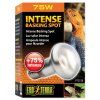 b 107 PT2136 large