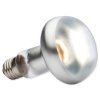 c 107 PT2138 large
