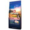 d 214 13127 large