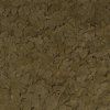 c A1 244146 large