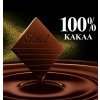 Lindt Excellence 100 % kakaa 50 g
