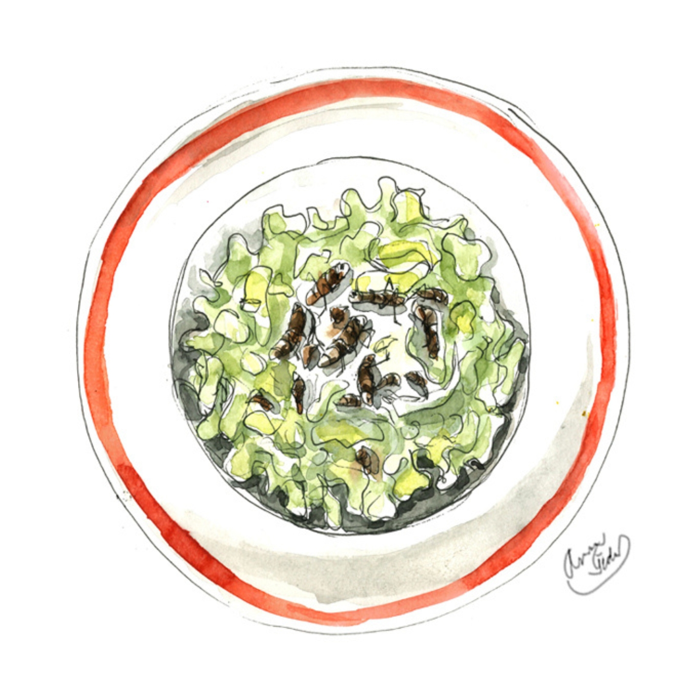 Grýndýl halušky: Neboli kobylky v trávě