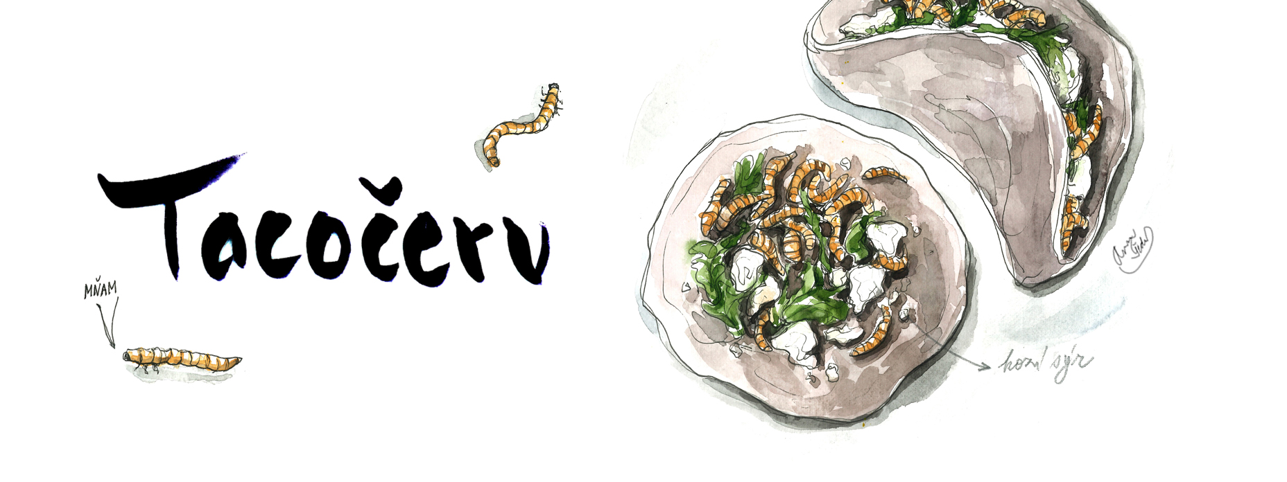 tacocerv