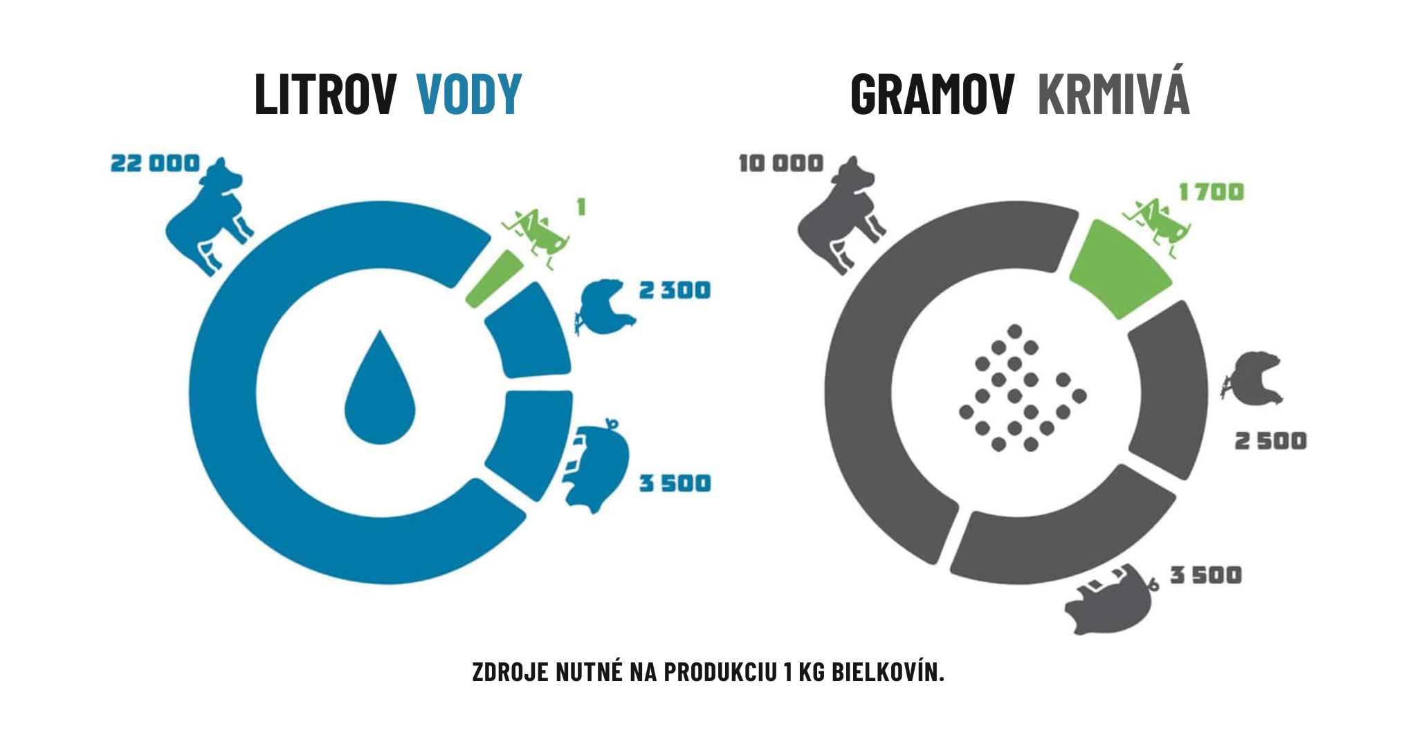 Infografika 2