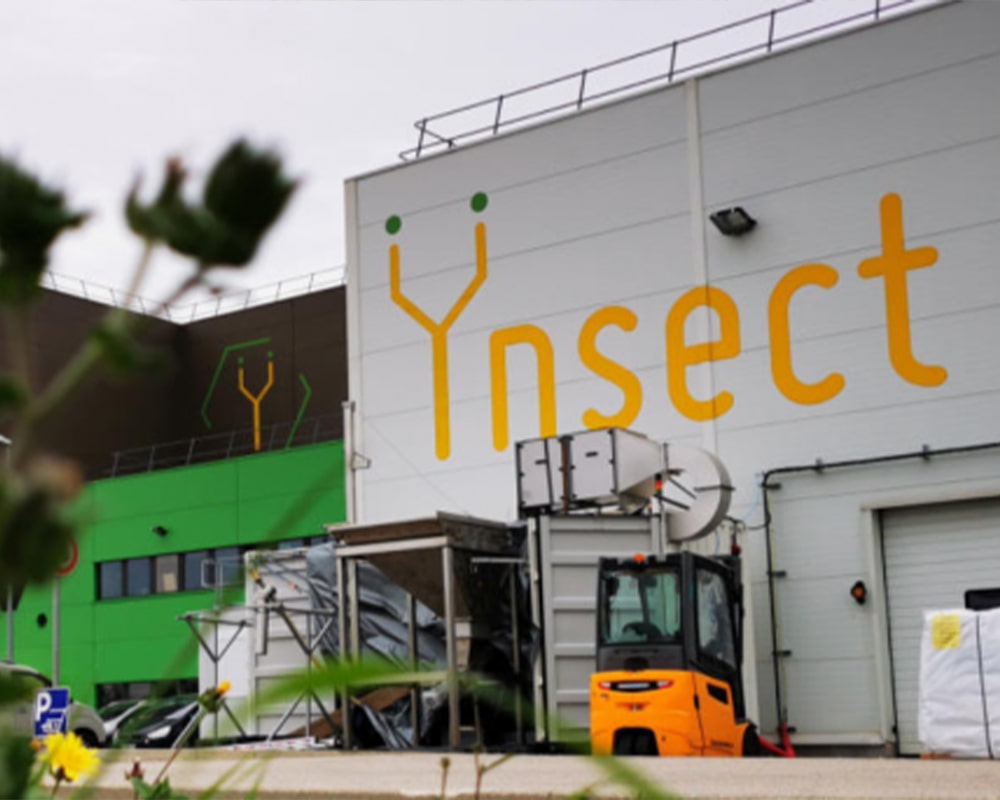 Ÿnsect - The world's largest insect farm
