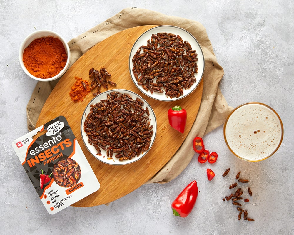 The cricket from a biologist's point of view