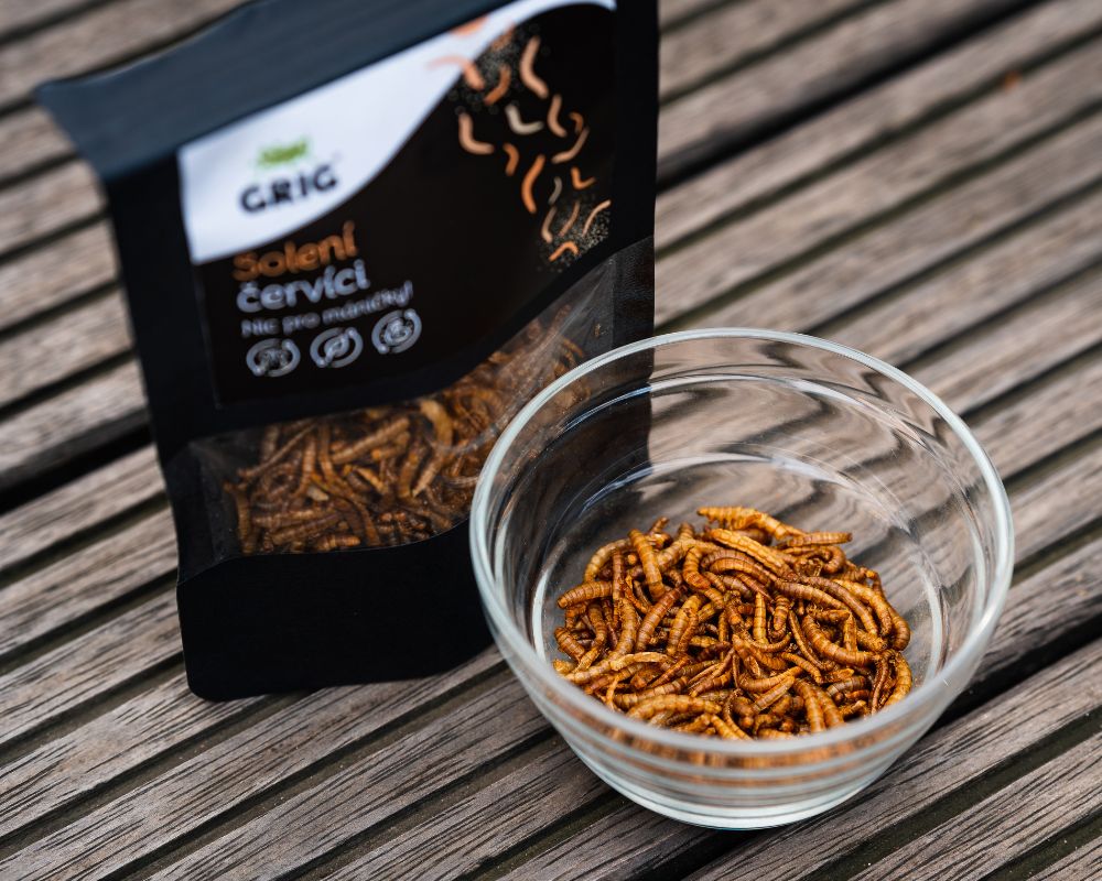 Fried rice with mealworms