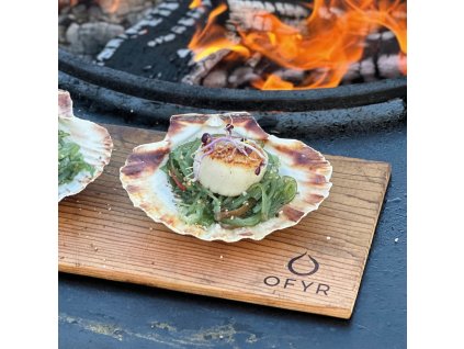 481111486 647682940966623 8539304286610488408 n