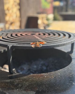 Dneska se u nás zastavil host… 🦋 A vybral si zrovna OFYR. 😄🔥 Motýl ví, kde je dobře? Želechovice u Zlína. Tady se prostě...