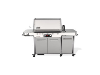 Weber Summit FS38X S Smart