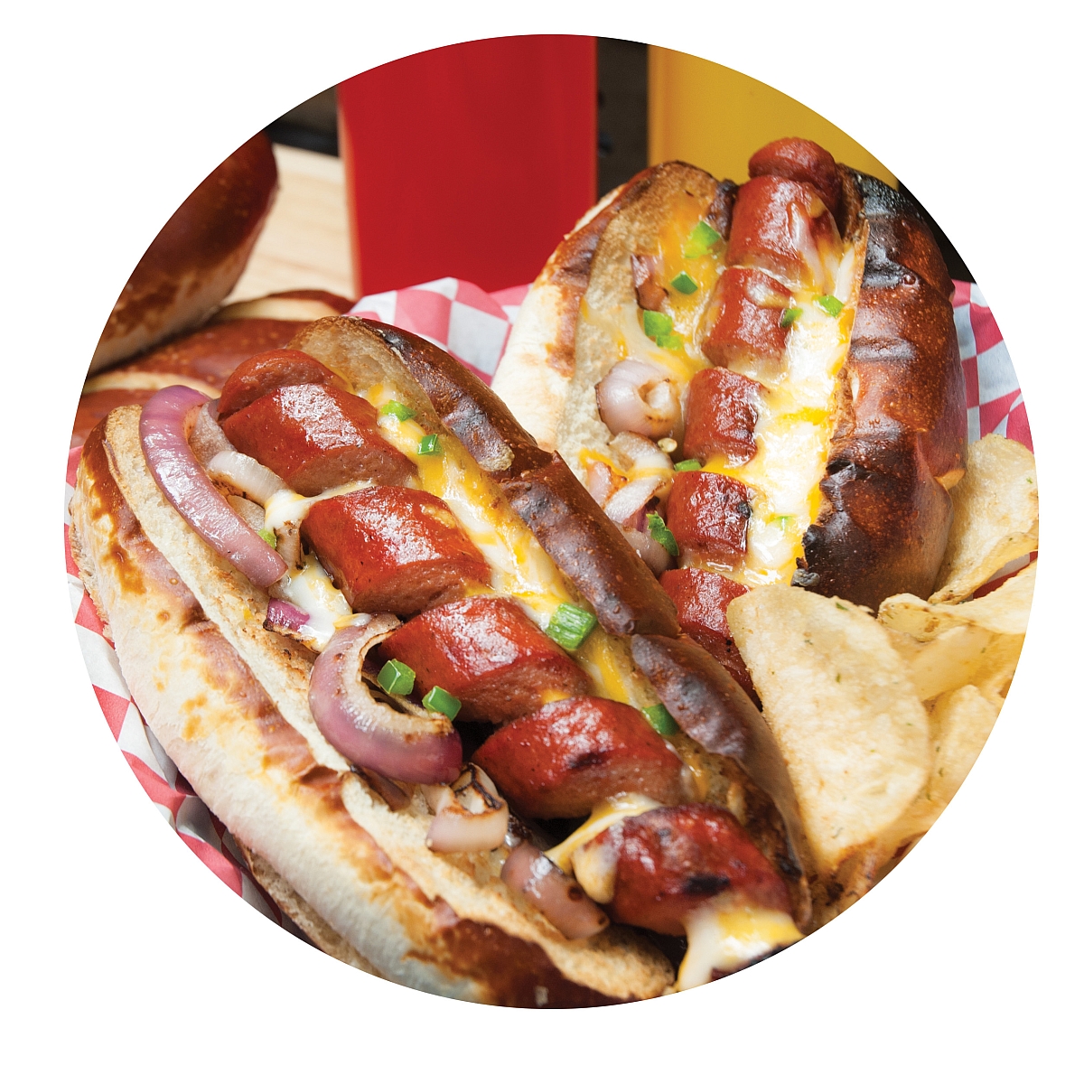 Charcoal Companion Dizzy Dog