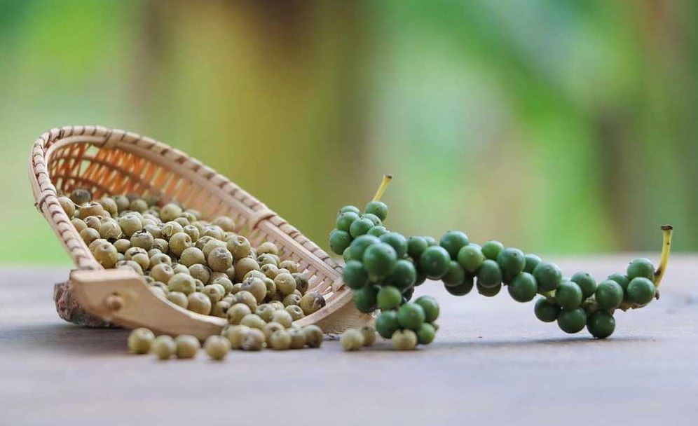 La Plantation Kampotský pepř zelený celý dehydrovaný 15 g mlýnek