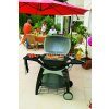 Plynový gril Weber Q 300