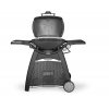 Plynový gril Weber Q 3200 Station