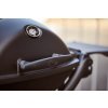 Plynový gril Weber Q 1200 Stand, Black