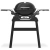 Plynový gril Weber Q 1200N Stand