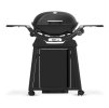 Plynový gril Weber Q 2200N Premium Stand