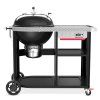 1501966 Charcoal Performer Premium B807 rgb