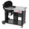 1501966 Charcoal Performer Premium CA845 rgb