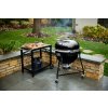 Summit Kamado E6 Mood 7 rgb