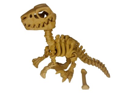 Raptor