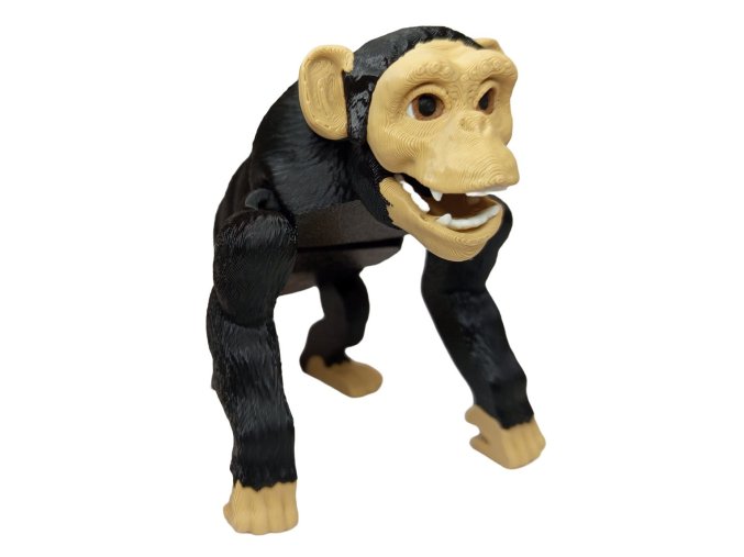 Šimpanz