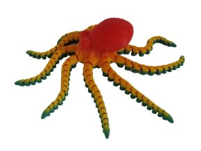 Chobotnice