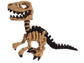 Raptor