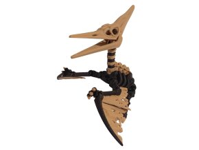 Pteranodon
