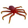 Chobotnice