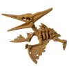 Pteranodon