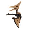 Pteranodon