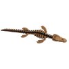 Mosasaurus