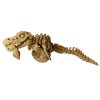 Mosasaurus