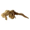 Mosasaurus