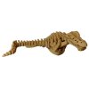 Mosasaurus