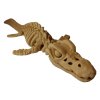Mosasaurus