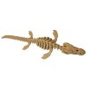 Mosasaurus